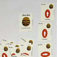 Bee-Bot Wimmel-Box