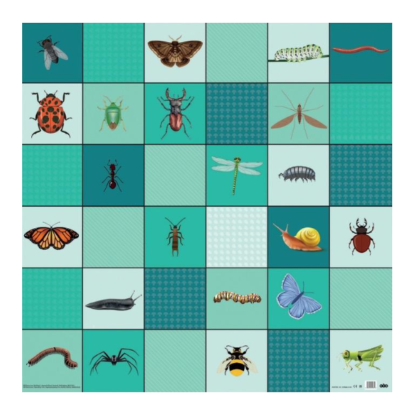 Loti-Bot Matte – Minibeasts (Kleintiere)